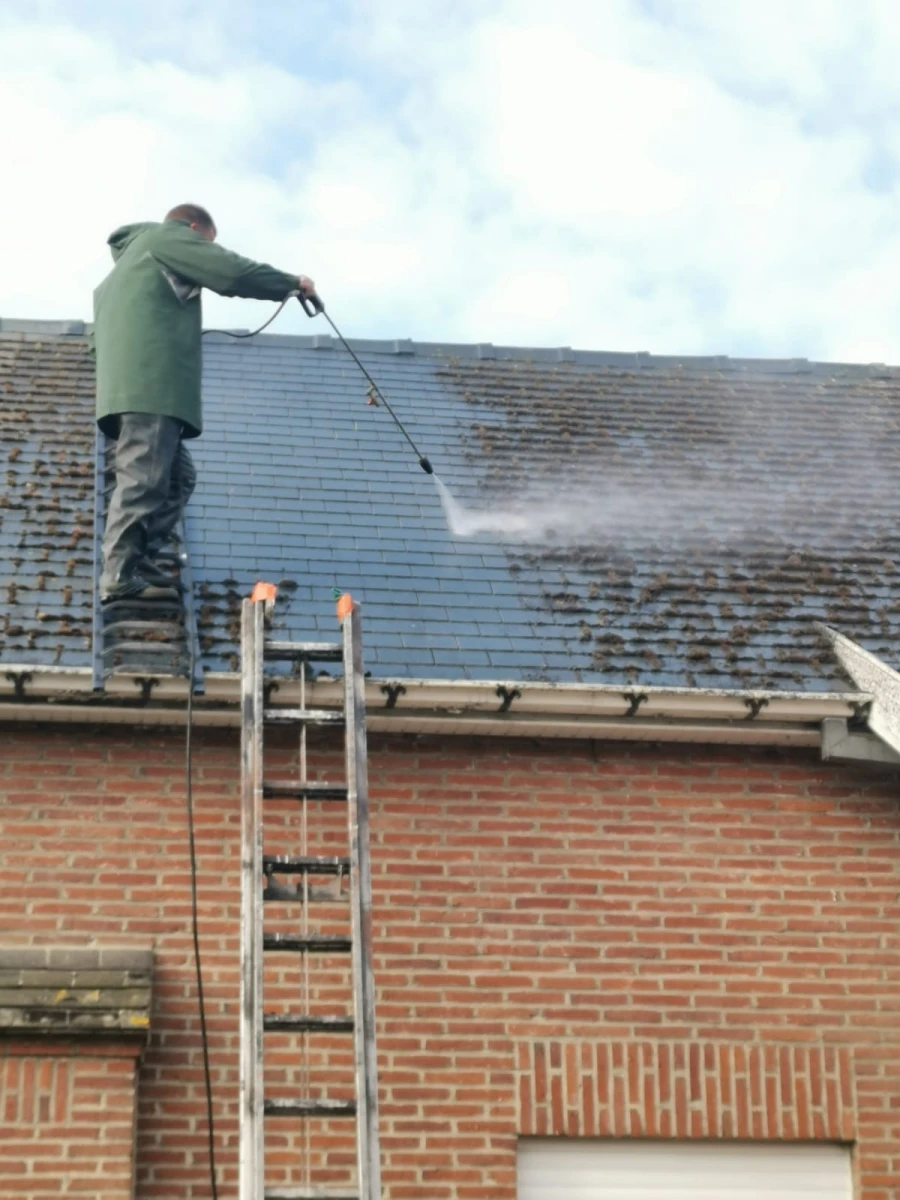 Nettoyage et Démoussage