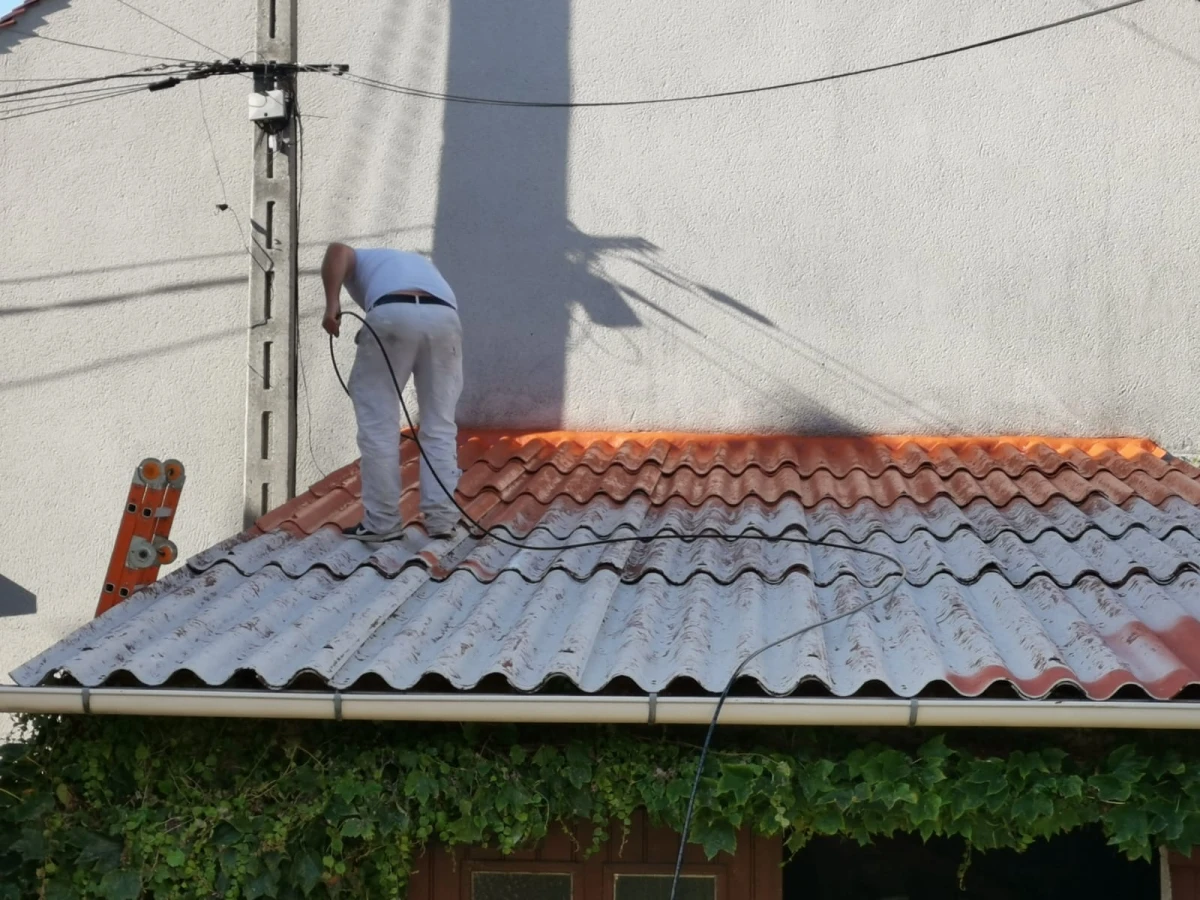 Peinture Intérieure et Extérieure